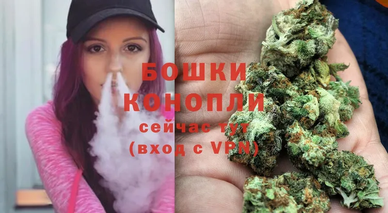 купить наркотик  Кингисепп  Шишки марихуана SATIVA & INDICA 